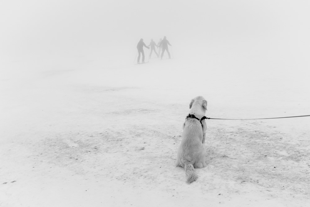 My Personal Best: Polish Photographer Agnieszka Maruszczyk